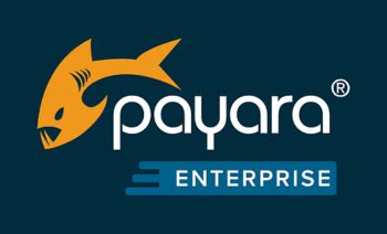 Downloads (Product Downloads) – Payara Services Ltd.